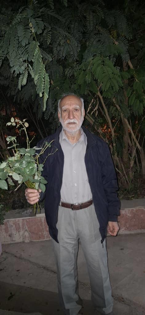 شاهنامه خوانی دهه فجر